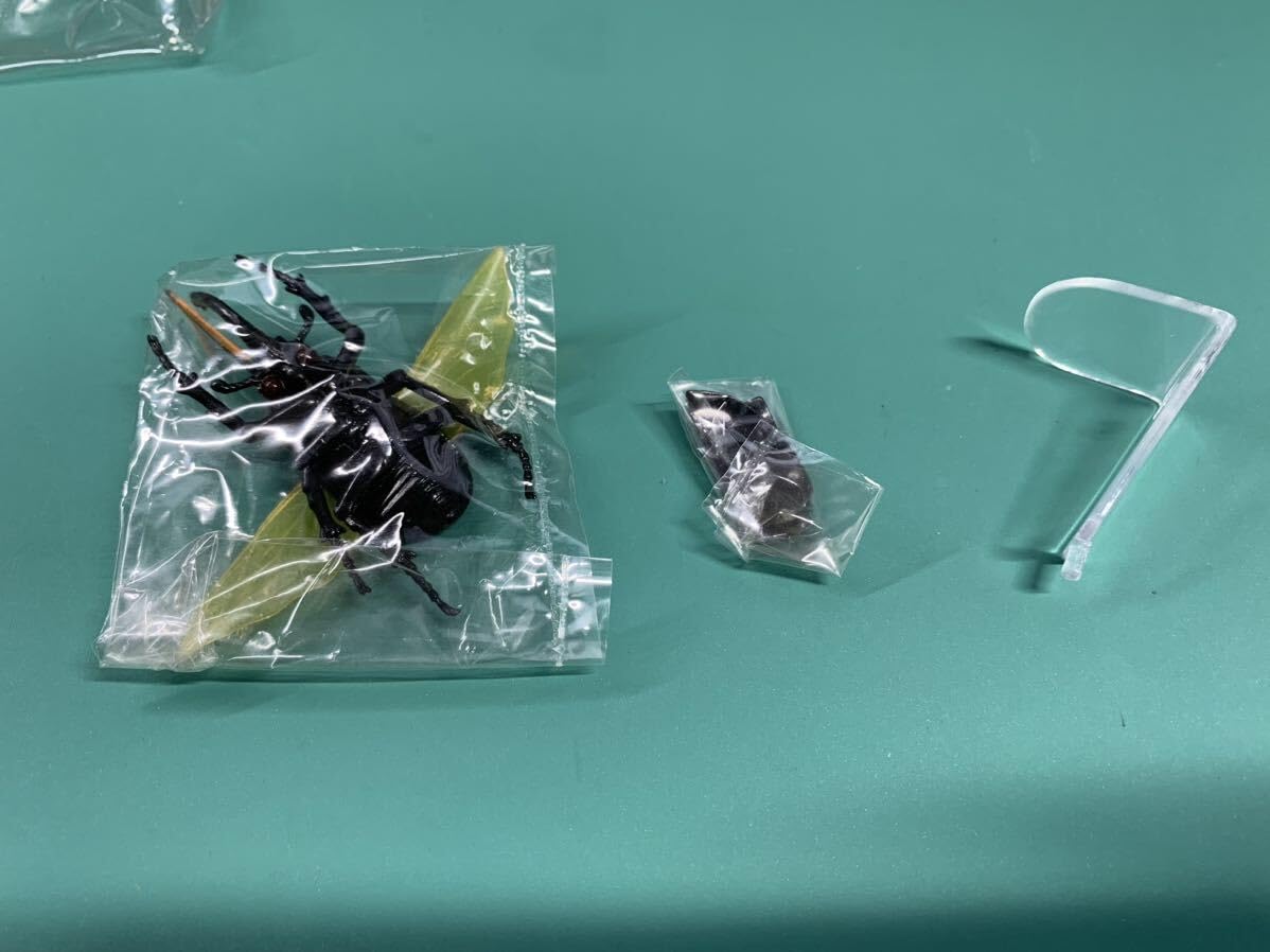Amazon.co.jp: ヘラクレスオオカブトの飛翔 No.15 Kabaya 食玩 昆虫